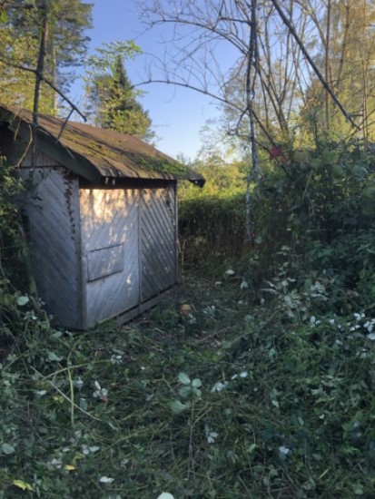 Kleine Hütte auf der Fläche in Oberholtorf